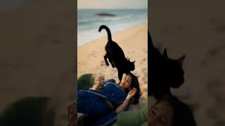 surah Al fathiha #GoldenCat #RealCat #CatStory #EmotionalStory #Shorts #ViralVideo