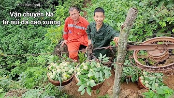 Tời Na, vận chuyển từ núi đá cao xuống. Đặc sản Na Chi Lăng, Lạng Sơn. Khai Kim food