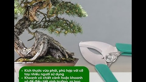 Kéo khoanh vỏ ghép cành l Dụng cụ làm vườn l Giải pháp nông nghiệp