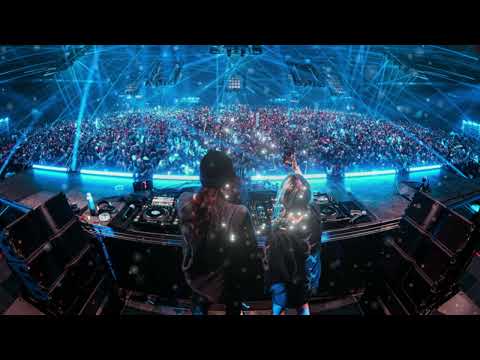 Subtronics x Alison wonderland - PUSH UP BOOTLEG - (DSM FLIP)