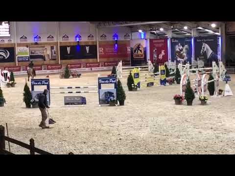 Tsunami of Picobello Z - 6yo CSIYH* Lier Tsunami of Picobello Z - 6yo CSIYH* Lier