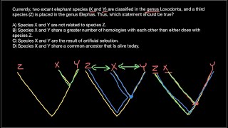 How to find relatedness between species