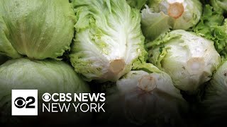 Cyclosporiasis outbreak possibly traced to lettuce supplier, source says