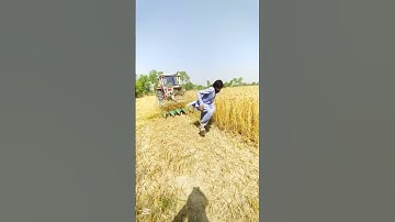 Tractor 🚜 Weat Cutting machine is man funny video #trending #shorts #trending #new #funny #video