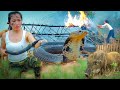 Free New Life | Detecting Wild Boars - Giant Snake Attack, SURVIVAL Shelter & BUSHCRAFT Ends