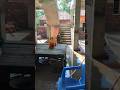 গাতনি কাজ চলতেছে #বিল্ডিং #video #construction