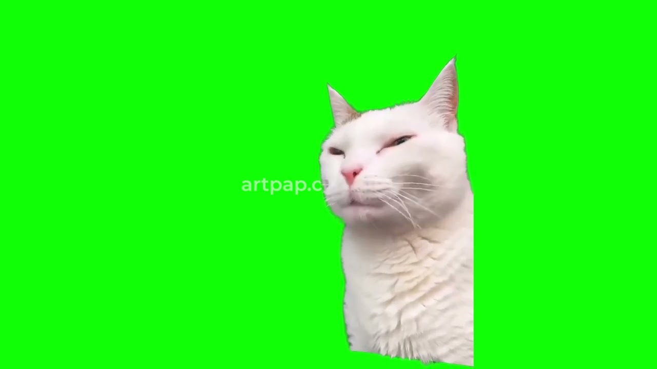 Sigma Cat Memes | Green Screen | 4K