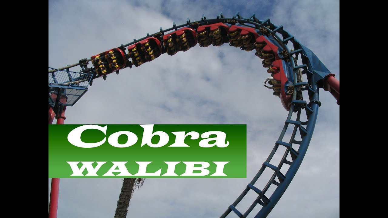Cobra Onride Walibi Wavre België