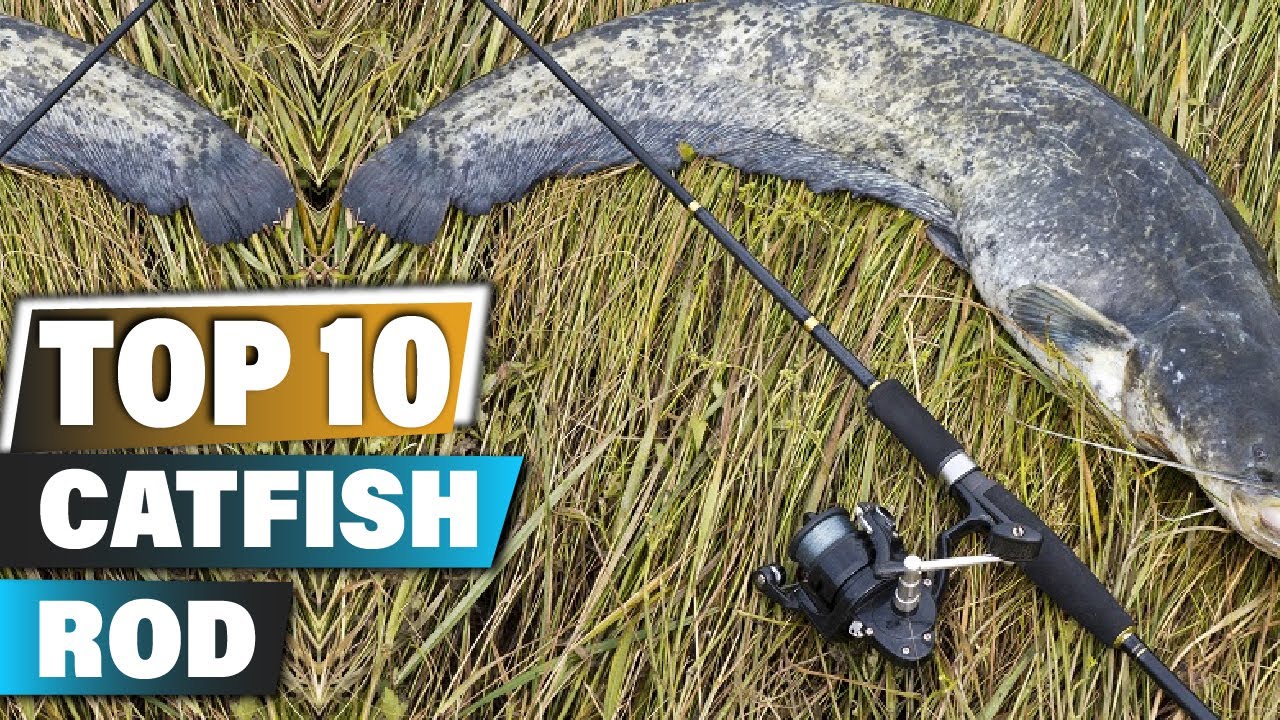 Best Catfish Rods In 2023 - Top 10 Catfish Rod Review 