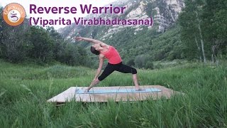 Reverse Warrior Pose (Viparita Virabhadrasana)