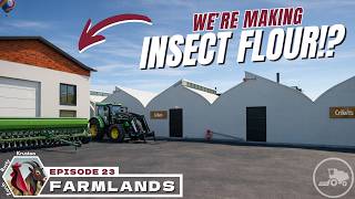 Insect Flour? Getting ready for piggies! | One Tile Challenge on Farmlands - Farming Simulator 25
