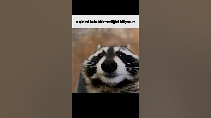 bitir o çizimi ( boş ver ben de bitirmedim) #art #drawing #keşfet  #racoons