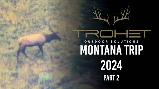 Montana 2024 | There are Indeed Elk in these Woods [Pt. 2]