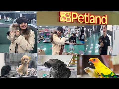 Petland In Columbus Georgia