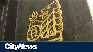 Business Report: Royal Bank reports record earnings