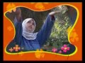 يا قطرة الندى