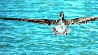 Microsoft Surface Pro 4 Core i5,128GB Keyboard, Tech, Stylus & Office on QVC screenshot 5