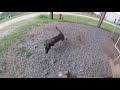 Real Life K9 Training for K9 Handlers Real Life K9 Training for K9 Handlers
