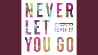 Never Let You Go [Feder Remix] (feat. Foy Vance) - Rudimental
