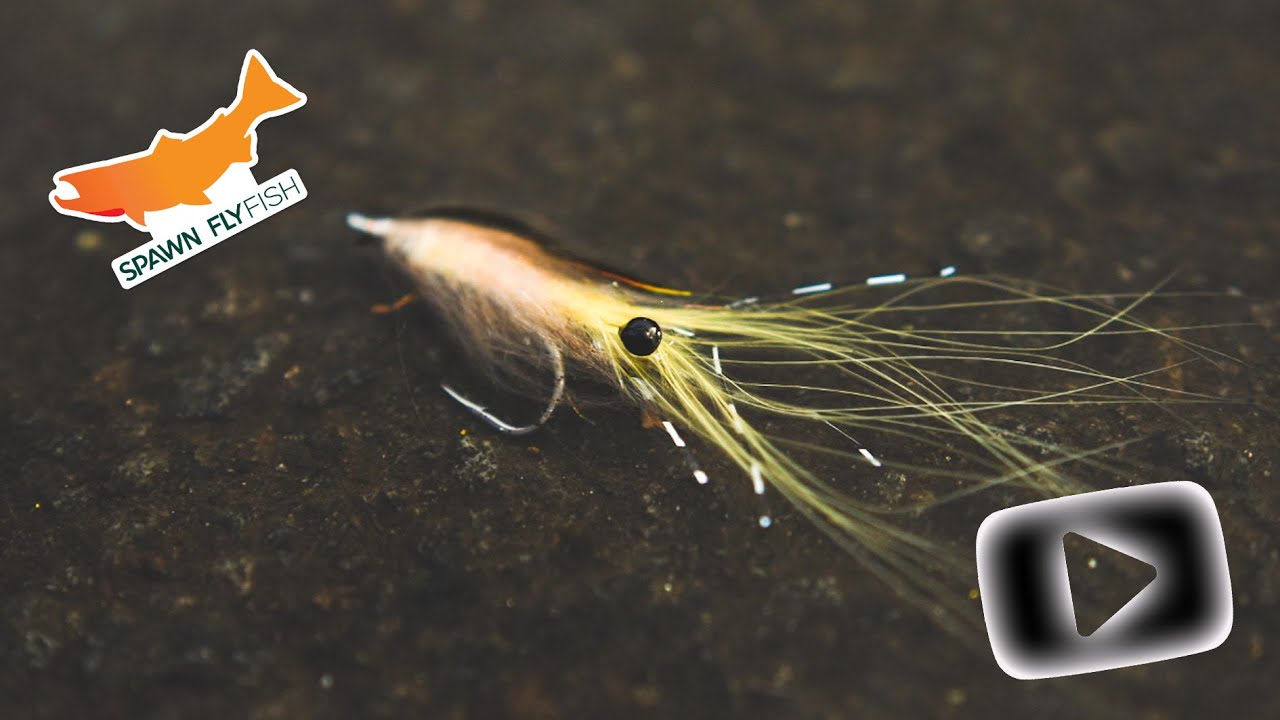 5 Best Redfish Flies for Saltwater Fly Fishing - The Fly Crate