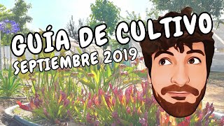 #275 Cuidados de PLANTAS CARNÍVORAS en SEPTIEMBRE de 2019