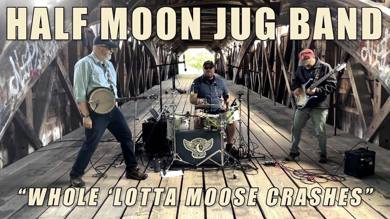 Whole 'Lotta Moose Crashes in this Town