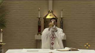 Daily Mass,  Wednesday July 15, 2026