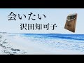 【カリンバ演奏】会いたい(沢田知可子)/Kalimba Cover