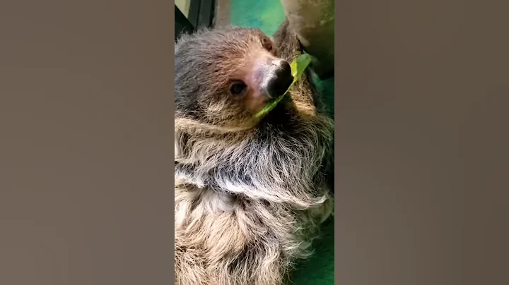 A special thank you!