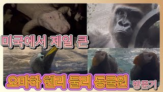 미국에서 제일 큰 오마하 헨리둘리 동물원 방문기 (치명적인 퍼핀 & 펭귄 & 악어 & 고릴라)