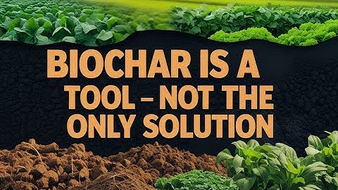 Biochar: Farming’s Black Gold Against Climate Change | The Soil Story 🌍