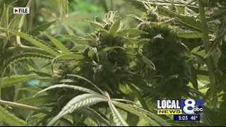 Constitutional ban on legal marijuana dies in Idaho House