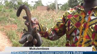 Abatuuze Bookezza Omuvubuka E Buikwe