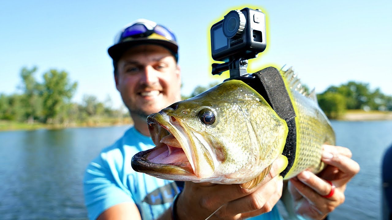 I Strapped A GoPro To A Fish!