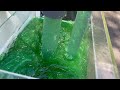 Pump demonstration with green slime