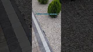 Шо з нами не так? #жиза #гроші #діти #держава