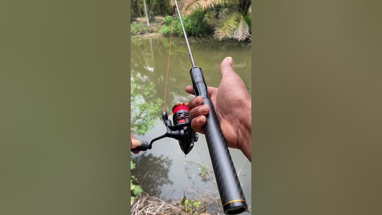 Cobaan Reel+ joran baru keren abis #fishing #mancingmantap - YouTube