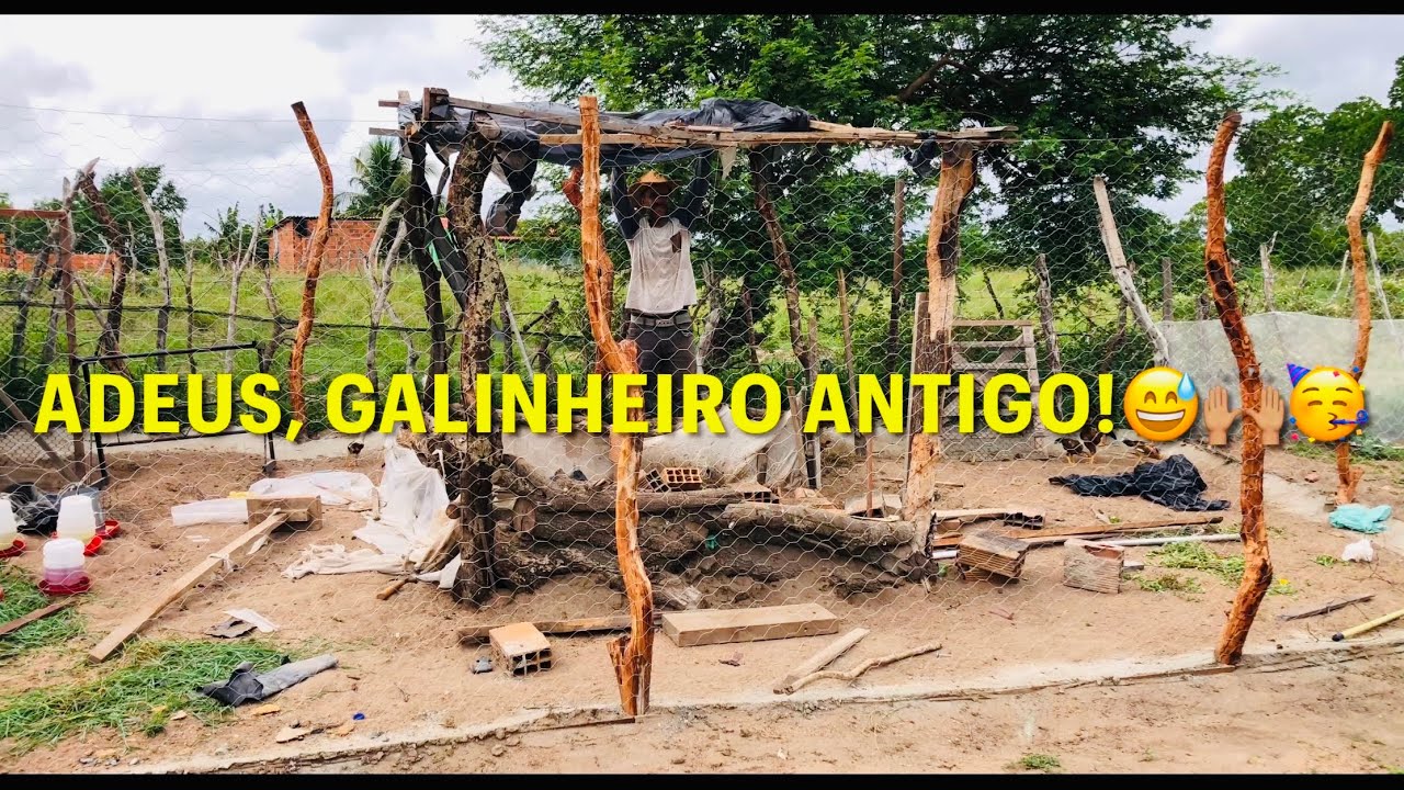 FINALIZEI A REFORMA DO GALINHEIRO!