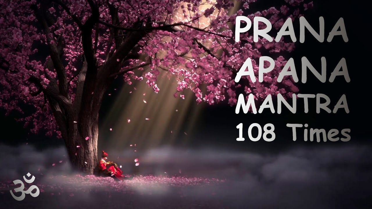 Prana Apana Sushumna Hari ⏐ Powerful Kundalini Mantra to Remove Negative Energies ⏐ 108 Times
