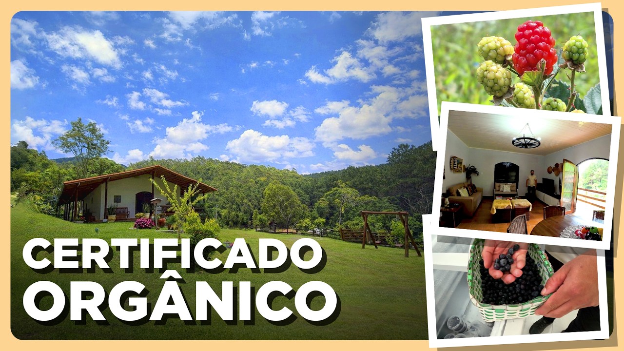 SÍTIO COMPLETO COM CERTIFICAÇÃO ORGÂNICA Á VENDA NO ALTO DA MANTIQUEIRA, DELFIM MOREIRA, MG