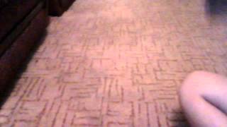 Видео С Веб-Камеры. Дата 30 Сентября 2013 Г., 1848.