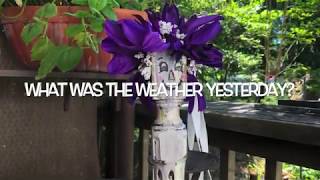 What Was The Weather Yesterday?