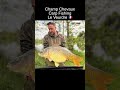 🎣 Carp Fishing in France 🇫🇷 | 1.5 Acre & 5 Acre Lakes | Carp to 50lb+!