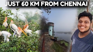 Vedanthangal is beautiful | best places to visit near chennai ? | One day trip near Chennai.