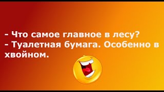 Вчера шел по снежному городу с кирпичом... Выпуск 58