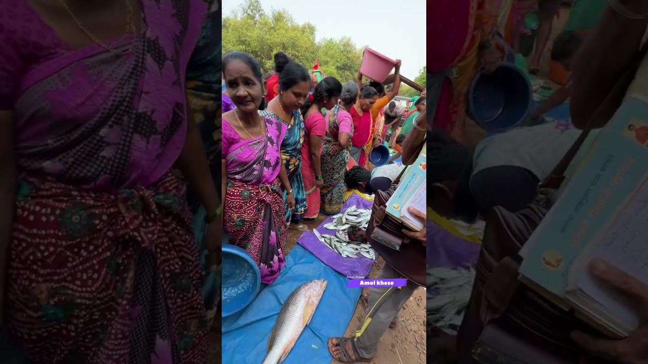 ताजे मासे पकडून आणतात लिलावात ✌️शिरोड्याच्या मच्छी बाजारात मिळतात स्वस्तात मासे 💯