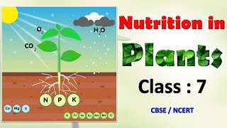 Nutrition in Plants  | Class 7 : SCIENCE | CBSE / NCERT | Full Chapter Explanation | Biology