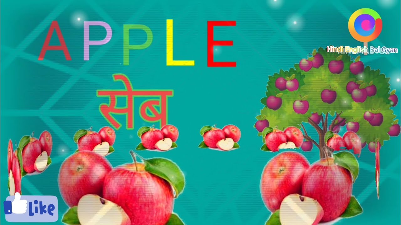 20 Fruits Name In English And Hindi 20 Falon Ke Naam English Aur 20-fruits-name-in-english-and-hindi-20-falon-ke-naam-english-aur