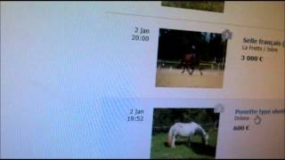 presentation de kimon sur le bon coin + presentation du site bon coin