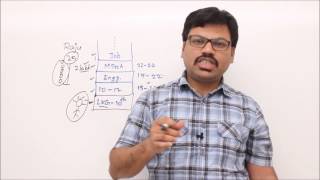 Celebrity Introduction to Greedy Method Wealth